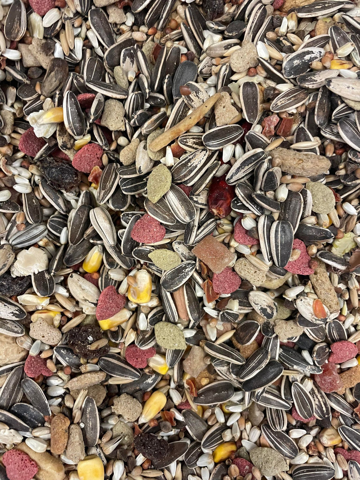 Higgin's Vita Seed Parrot- BULK FOOD BY THE POUND