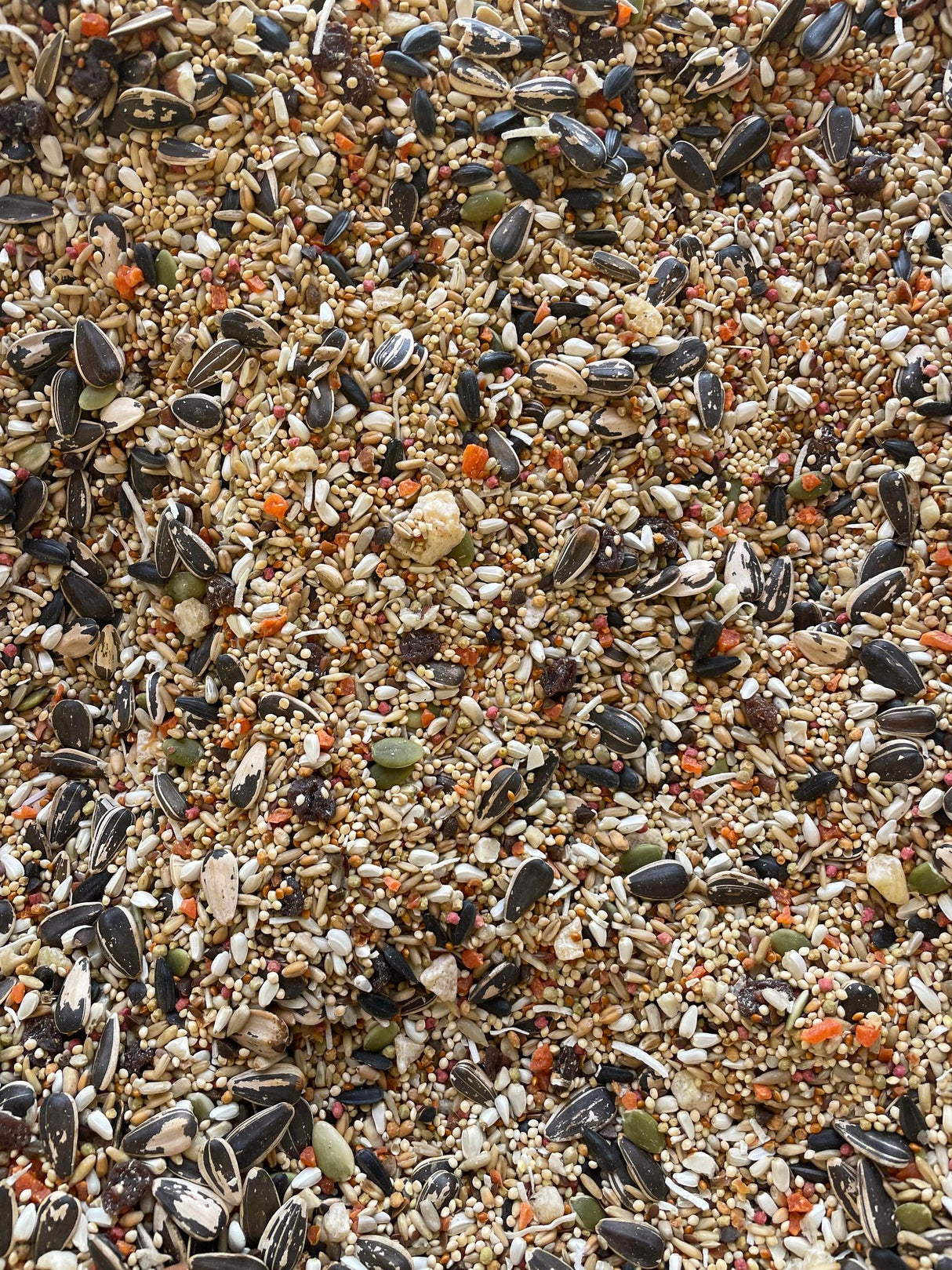 Sunburst Cockatiel - BULK FOOD BY THE POUND