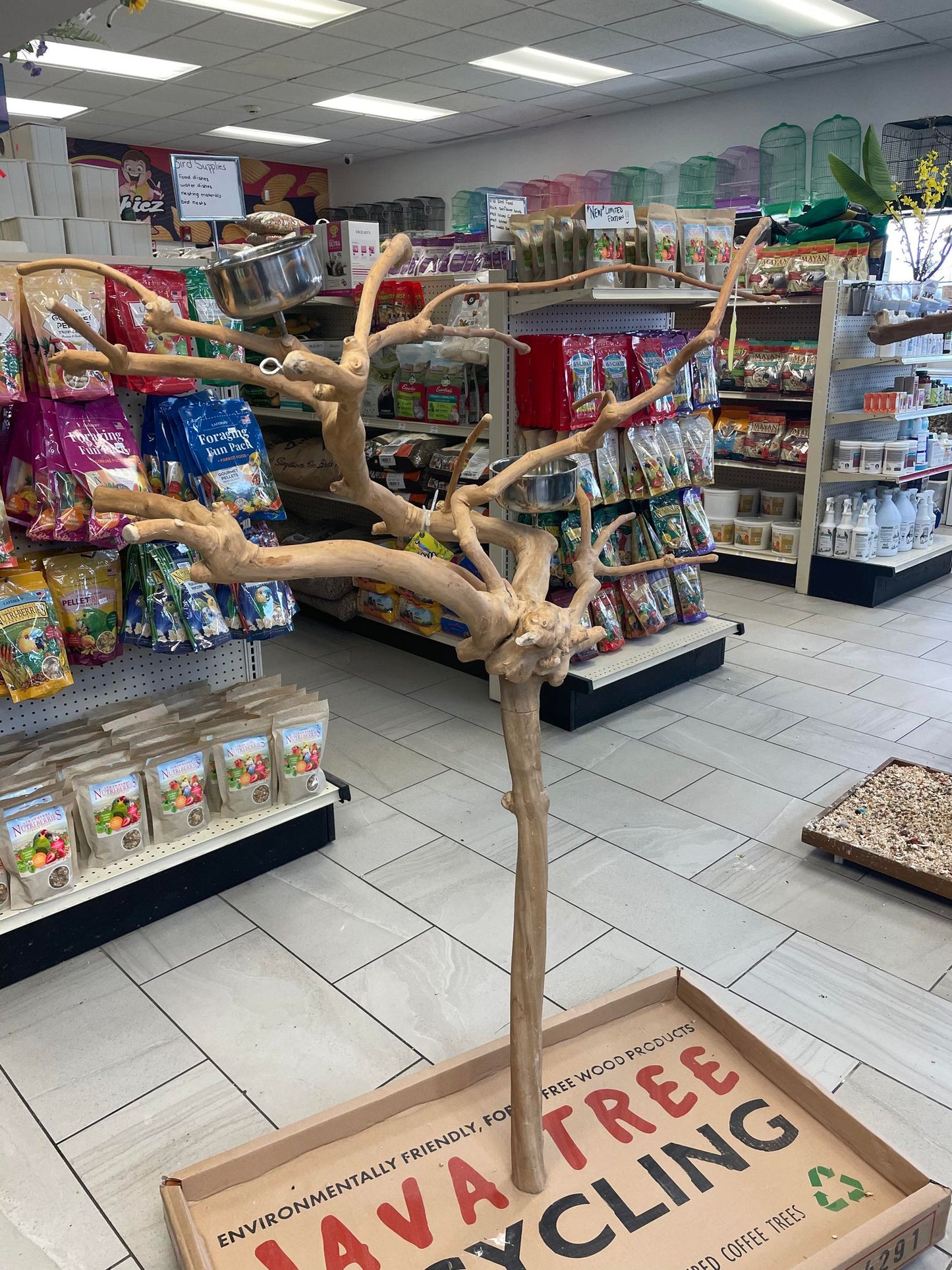 A & E Natural Java Tree Stand - Size Small- AE250S
