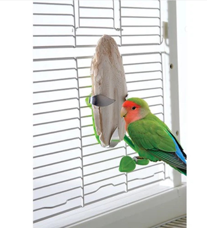 Cuttlebone Holder - No Tag