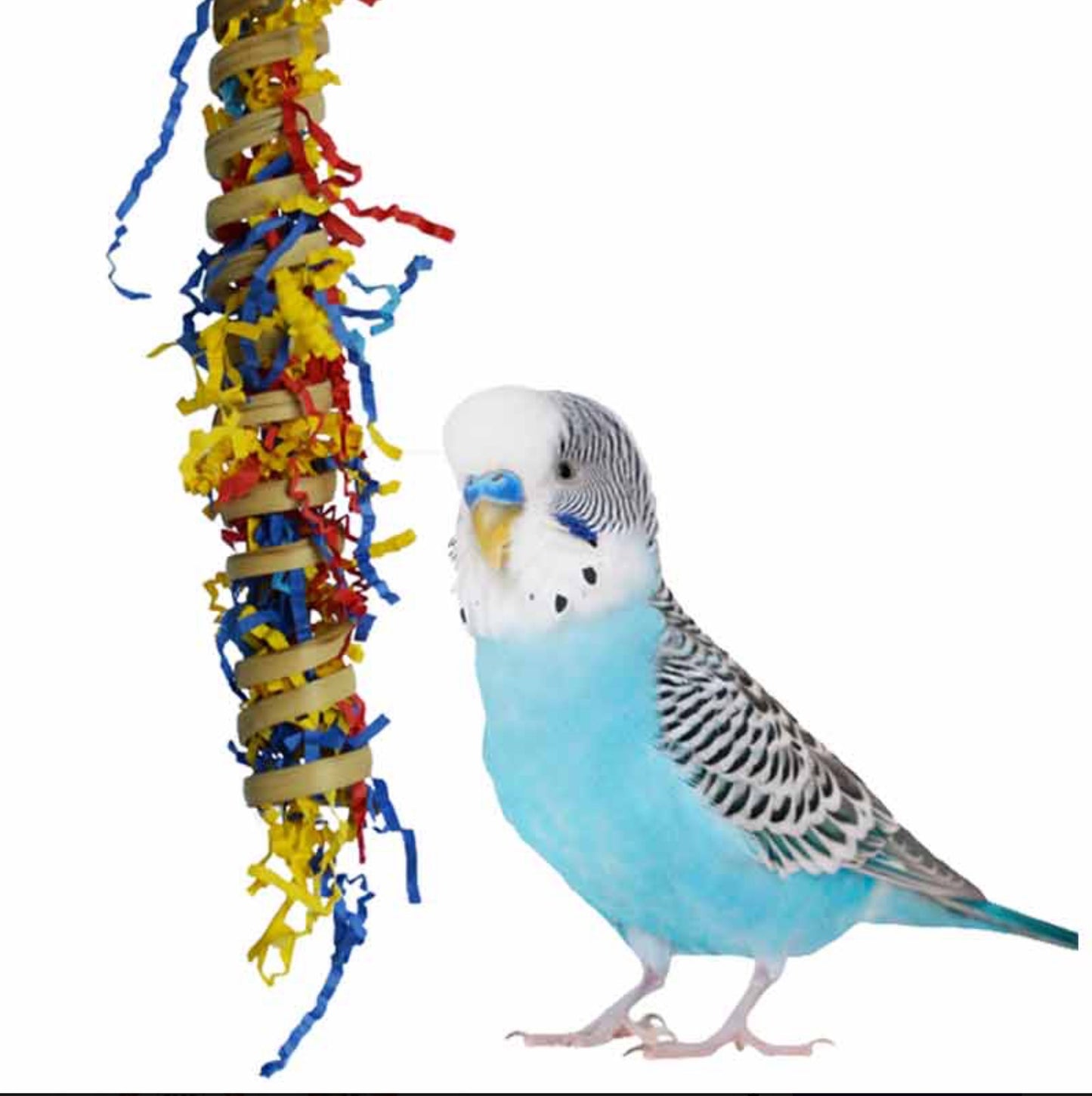 Fiesta Millet Holder