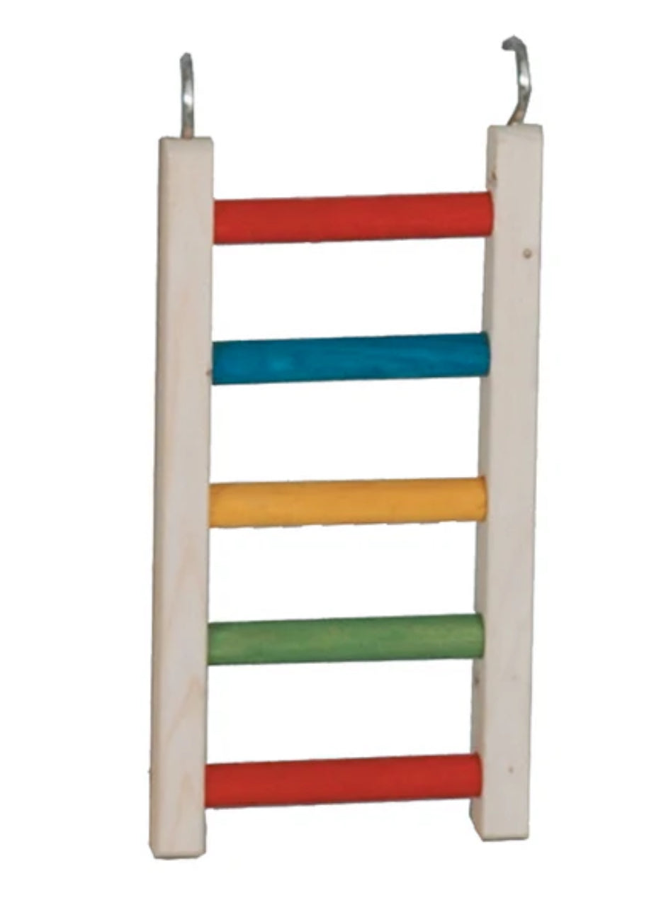 Parrot Ladder 18"