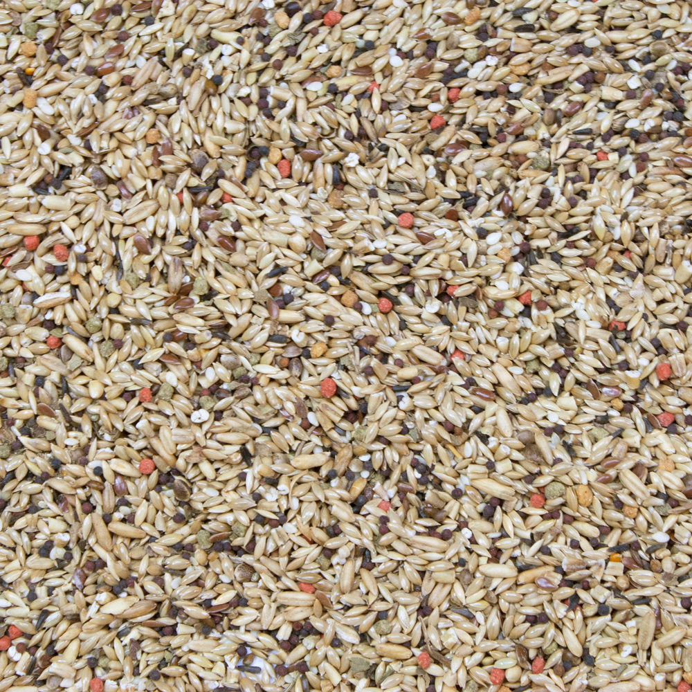Higgins Vita Seed Canary - BULK FOOD BY THE POUND