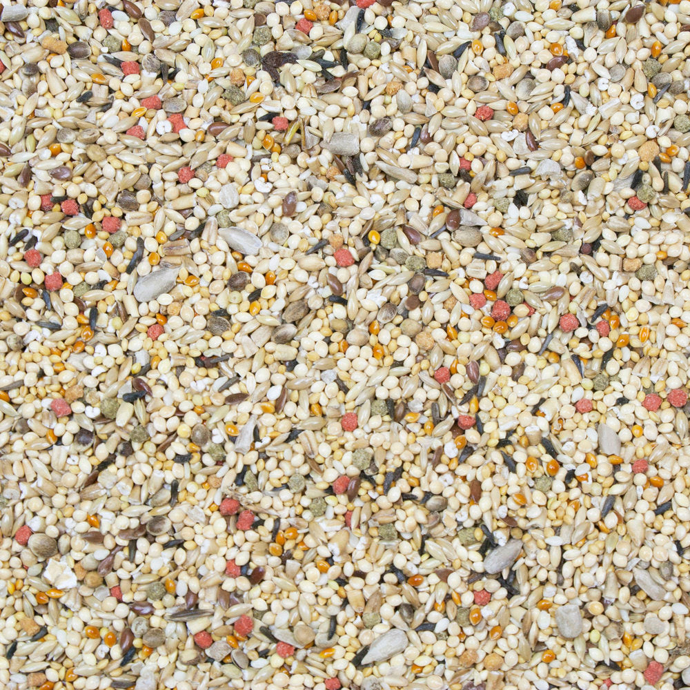 Higgin's Vita Seed Finch - BULK FOOD BY THE POUND