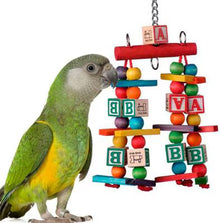 Katy's ABCs Jr. Bird Toy - SB448