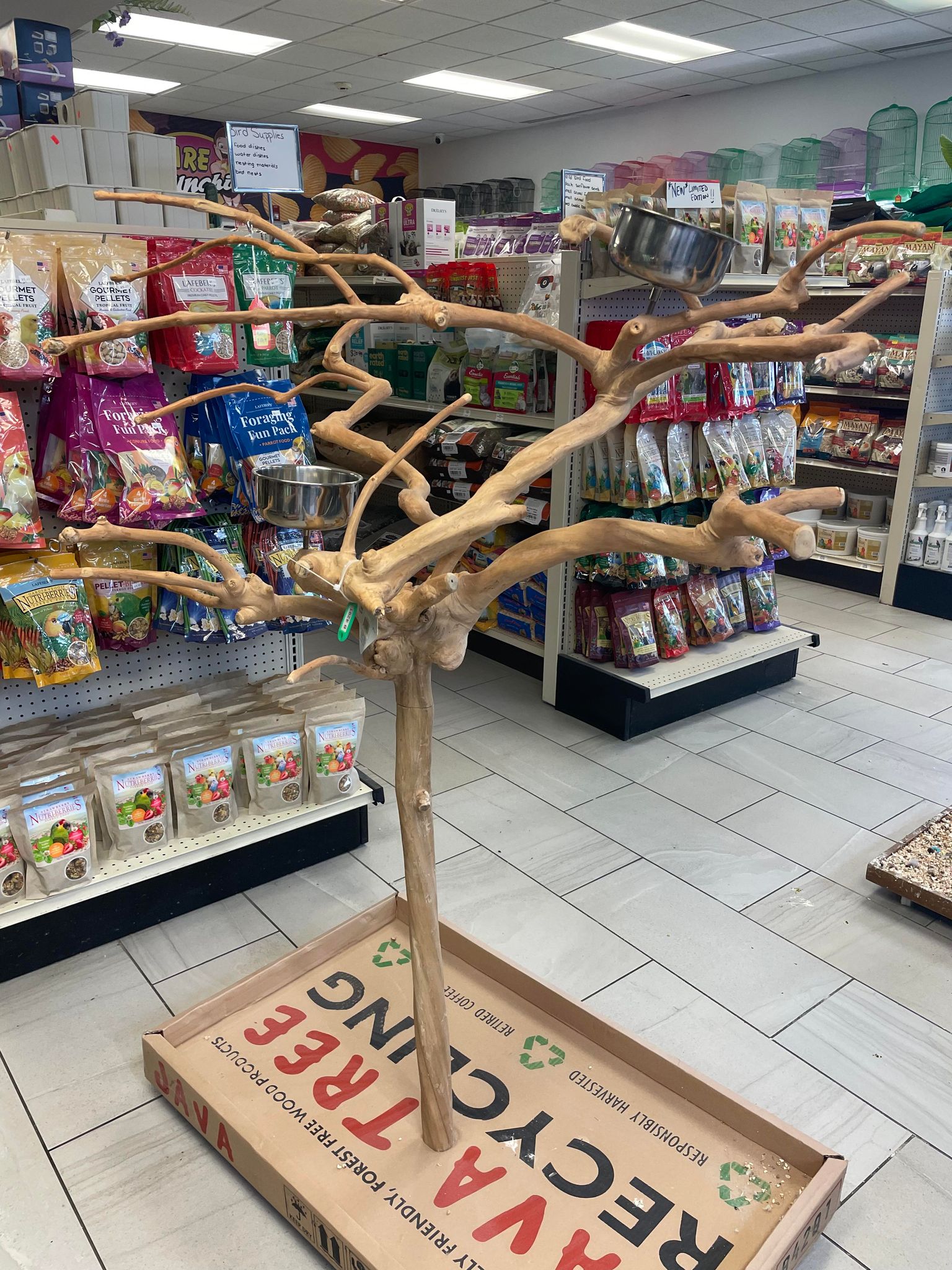 Java Edition Stand A & E Natural Java Tree Stand - Size Small- AE250S – Exotic Bird Shop