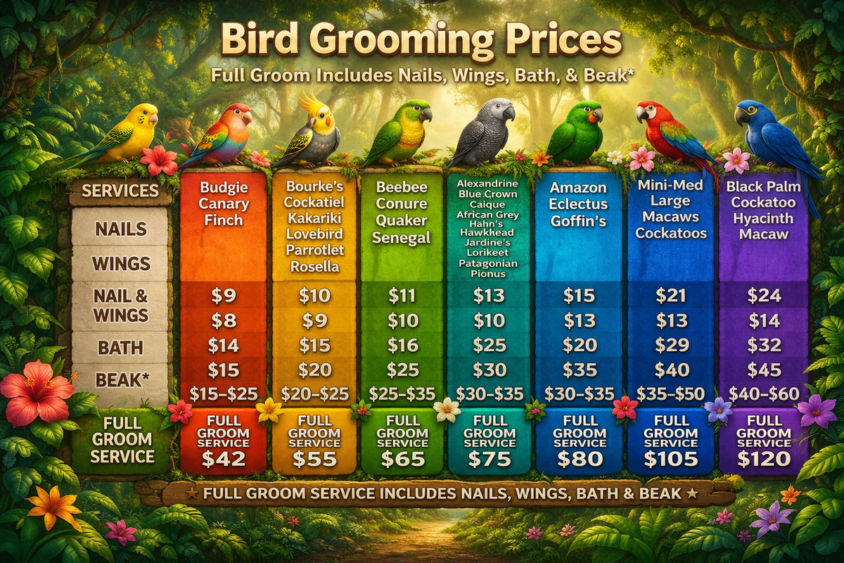 Boarding&Grooming – Exotic Bird Shop