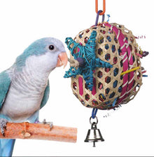 Basket Case - SB573