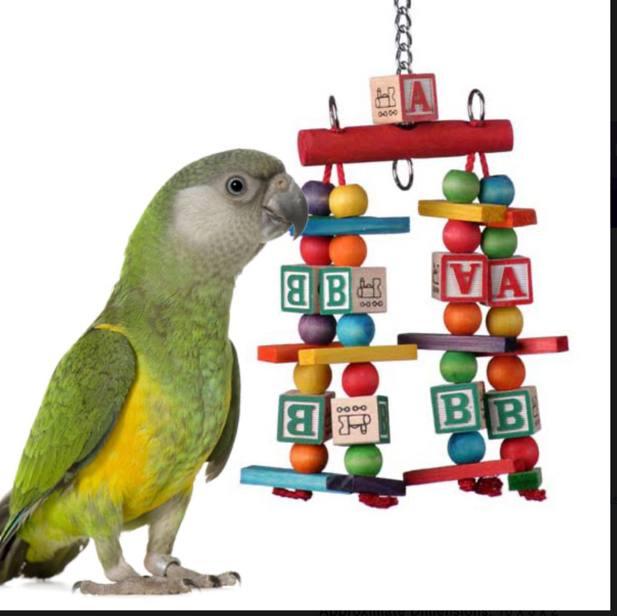 Katy's ABCs Jr. - SB448