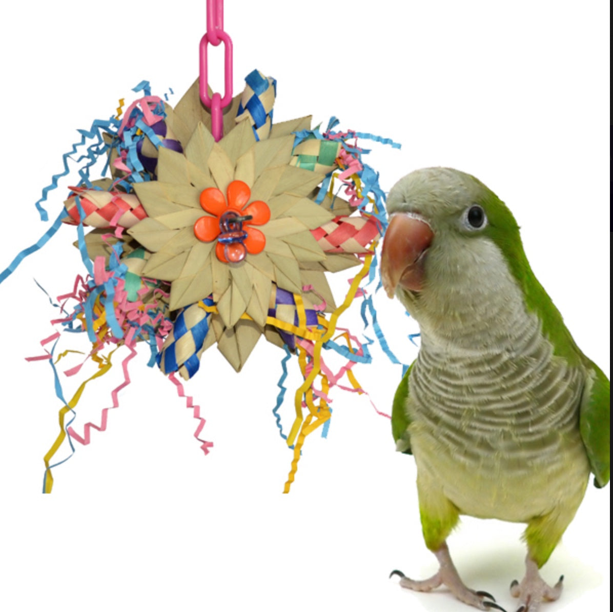 Pinwheel - SB948