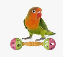 Birdie Barbells (3) - SB1063
