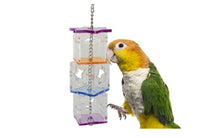 Foraging Cube -PK1206