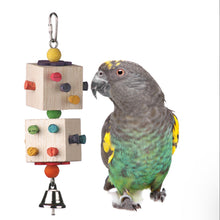 Parrot-Dice - SB1103