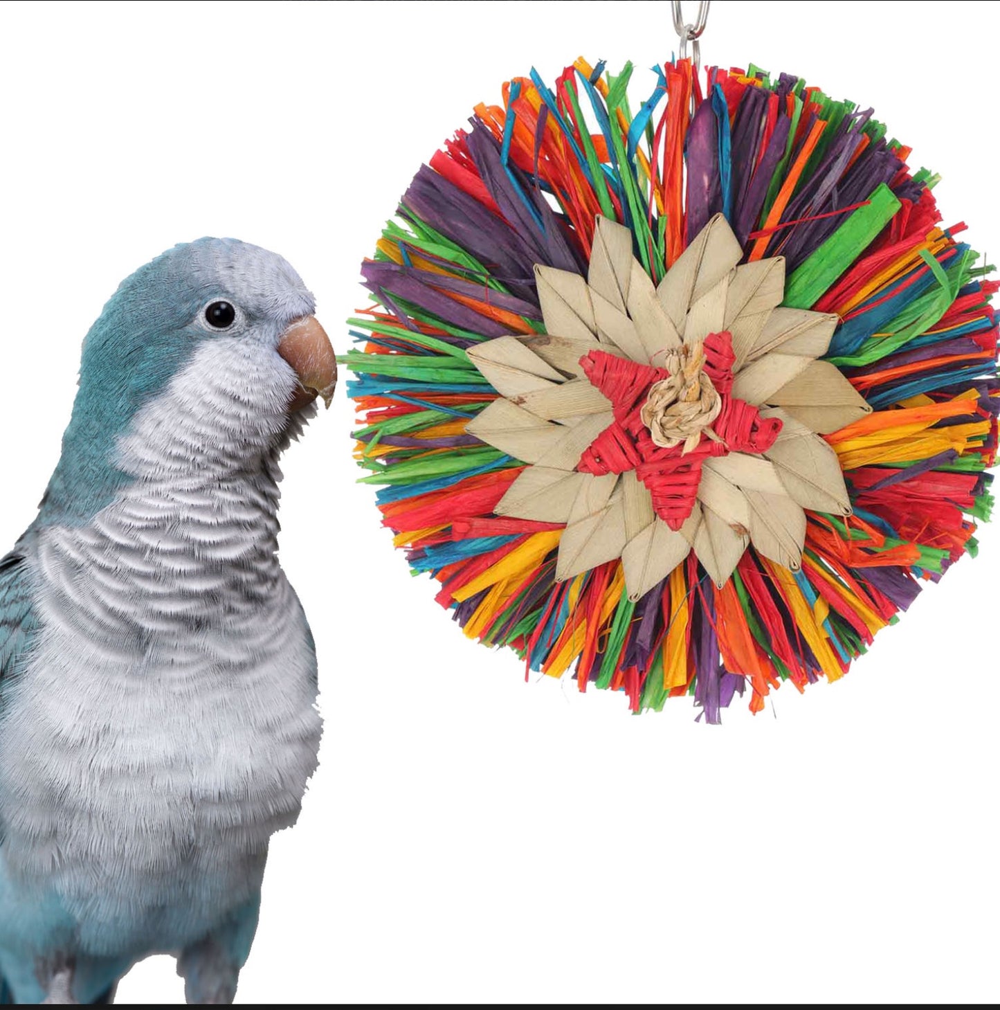 Rainbow Raffa - SB1244