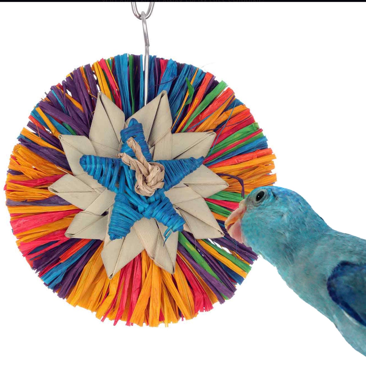 Rainbow Raffa Small - SB1267