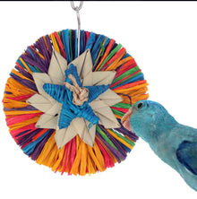 Rainbow Raffa Small - SB1267