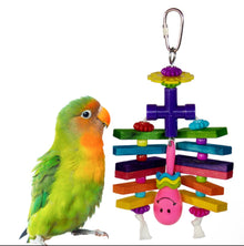 Rainbow Rattler - SB1173