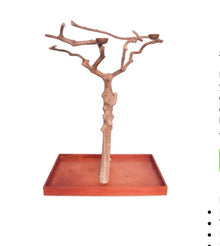 Java Tree Small