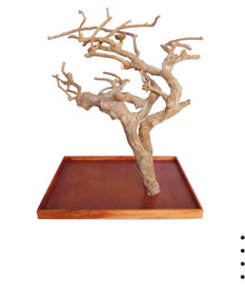 Java Tree Medium