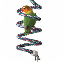 SB323 1/2" x 52" Bungee