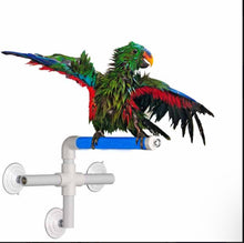 Fold away shower perch