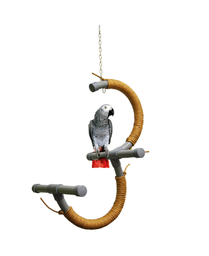 Perch & Swing – Exotic Bird Shop
