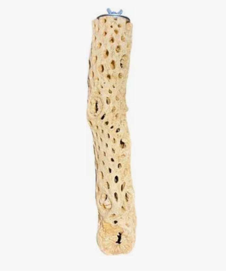 Polly's Cholla Cactus Perch Large