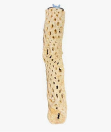 Polly's Cholla Cactus Perch Large