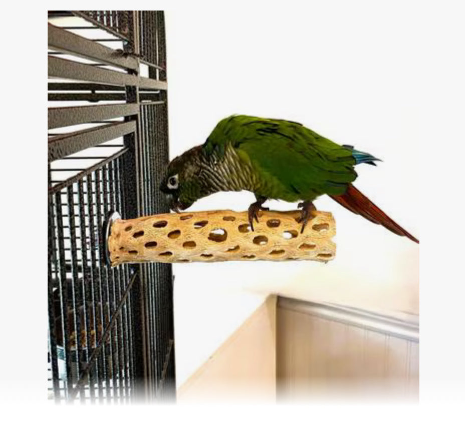 Polly's Cholla Cactus Perch Small