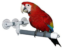 Polly's Shower Perch L