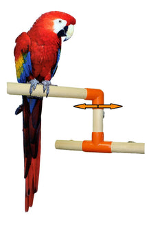 Window Perch Perchoir