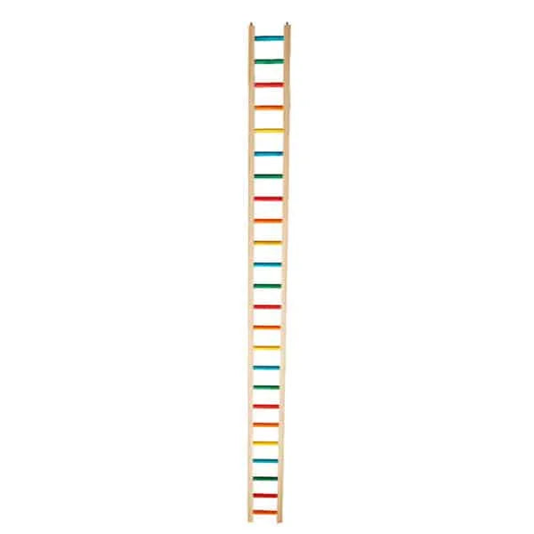 50" Medium Bird Ladders 00171