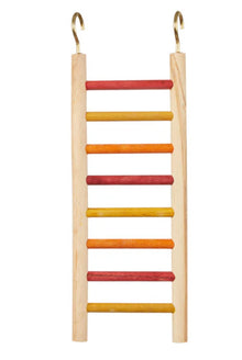 Parakeet Ladder 4x10