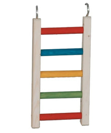 Parrot Ladder 12"