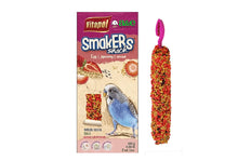 Strawberry Smakers For Budgie