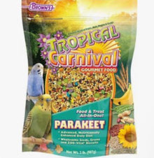 Tropical Carnival Browns Parakeet