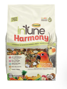 In Tune Harmony Conure & Cockatiel