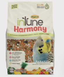 In Tune Harmony Parakeet