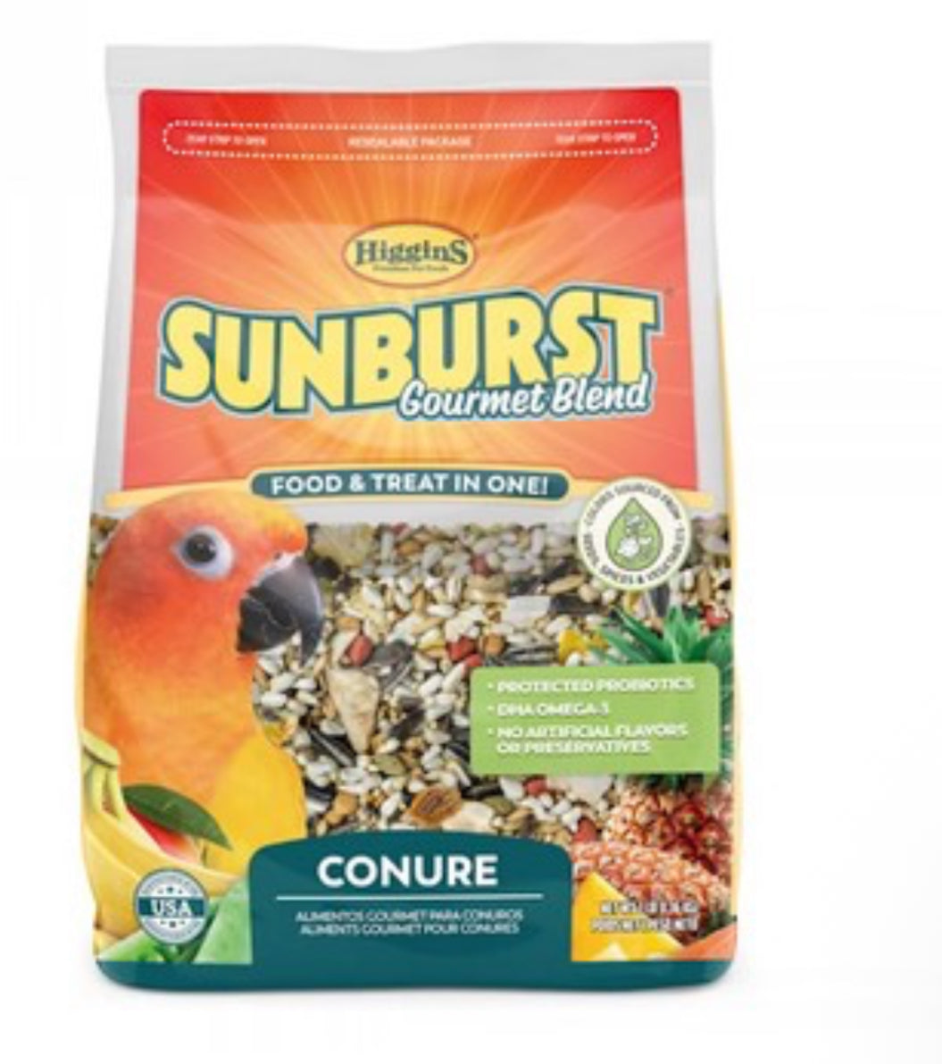 Sunburst Blend Conure