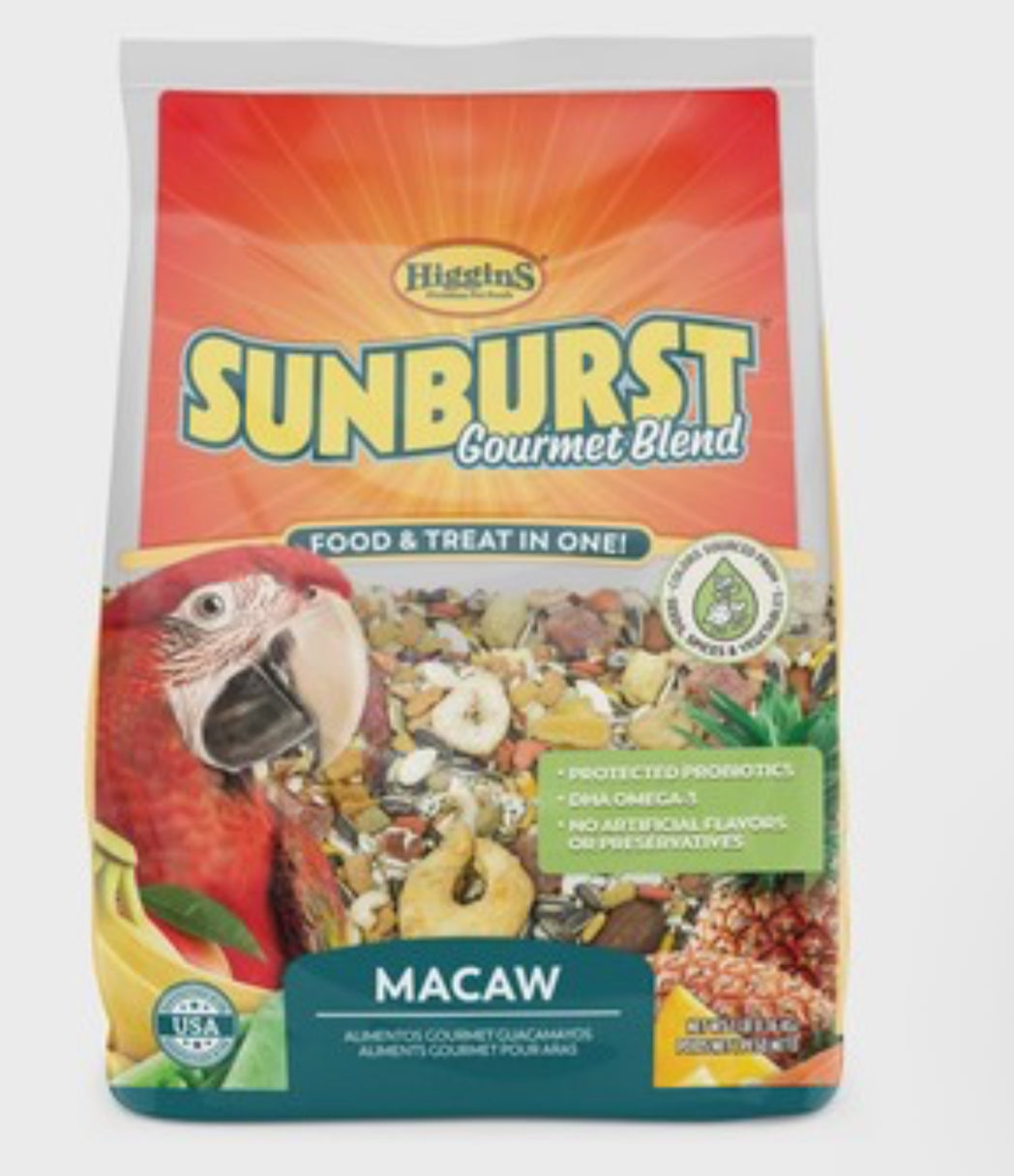 Sunburst Blend Macaw