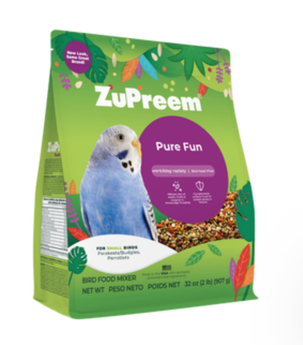Pure Fun For Small Birds – Exotic Bird Shop
