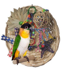 Busy Birdie Play Perch
