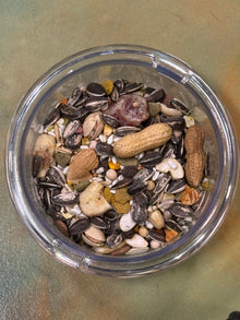 Sunburst Macaw - PER LB