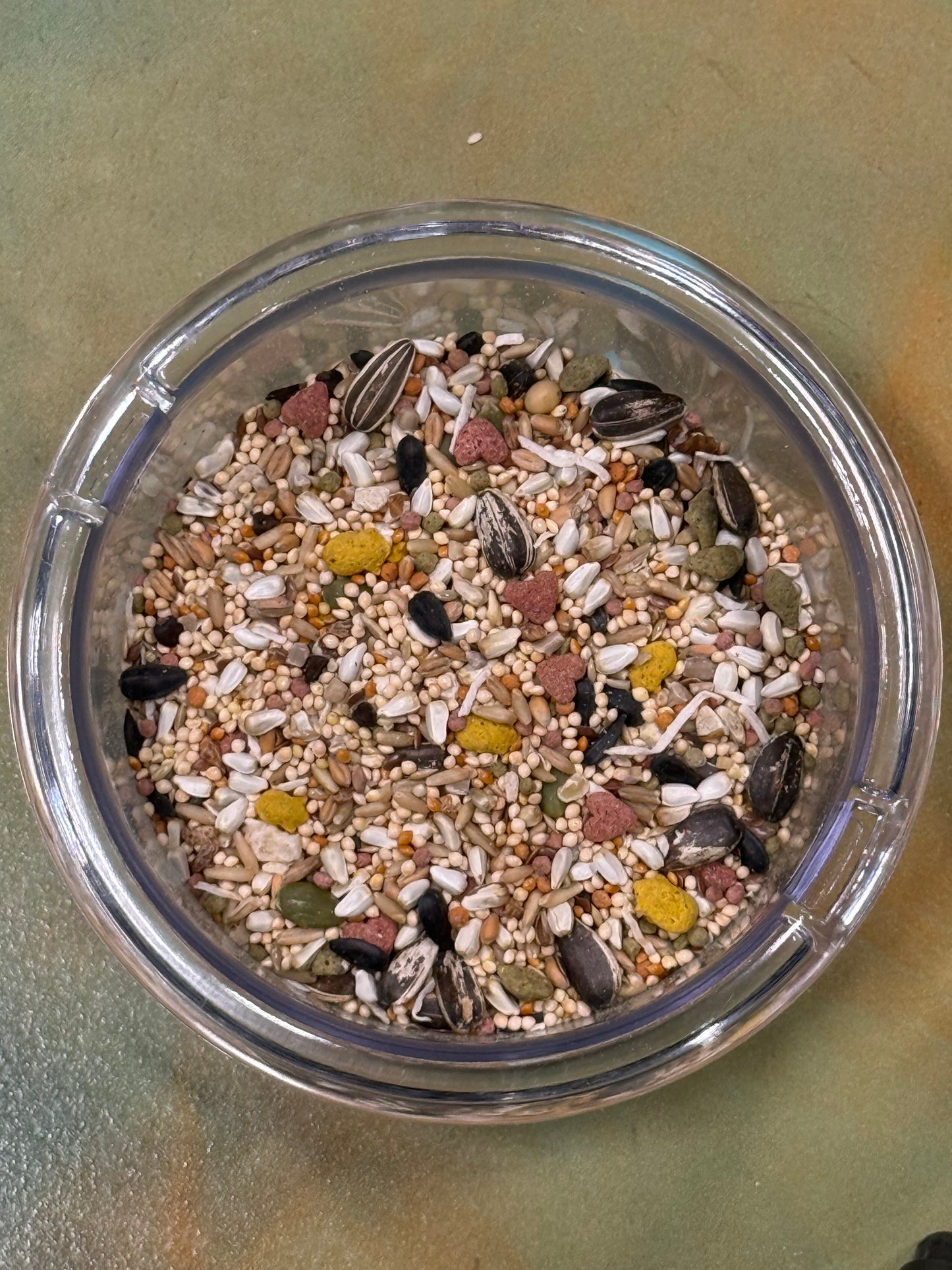 Sunburst Lovebird & Cockatiel - Per LB