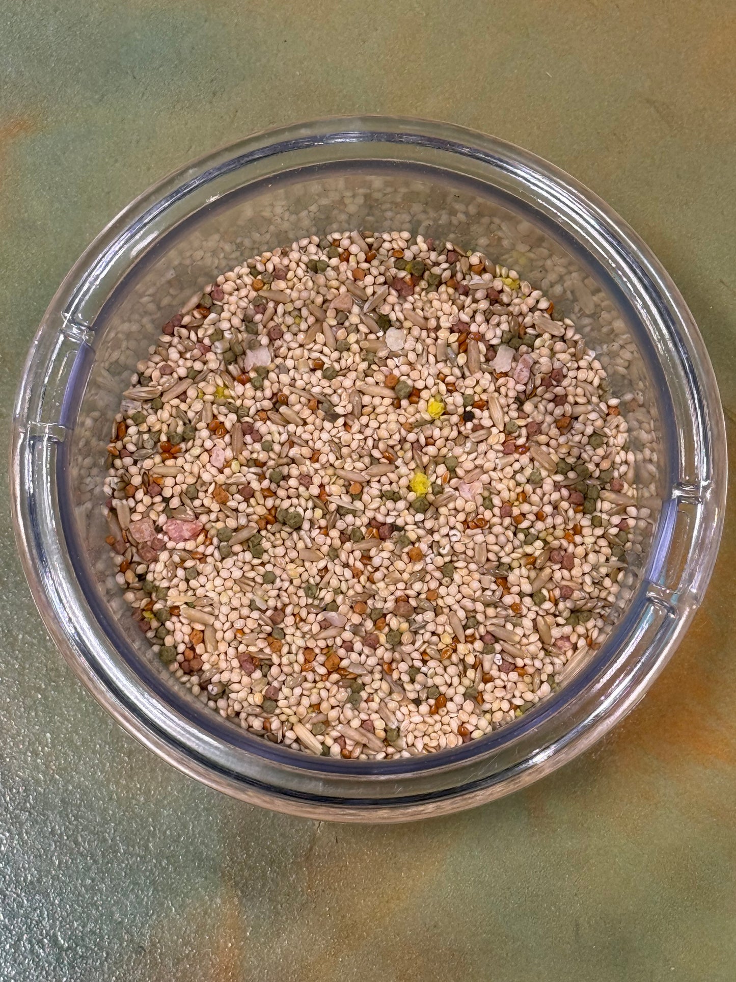 Higgins Vita Seed Parakeet - BULK FOOD BY THE POUND