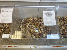 Goldenfeast Madagascar Blend - BULK FOOD BY THE POUND